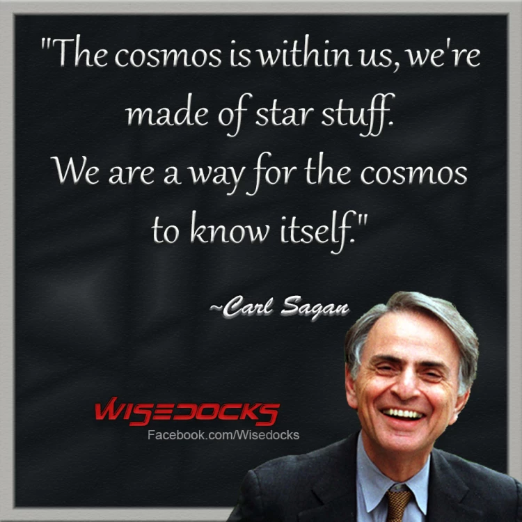 Carl Sagan Cosmos