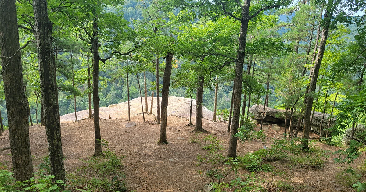 Rock formation above Whitaker point