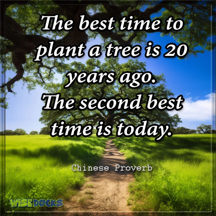 best time to plant a tree is twenty years ago