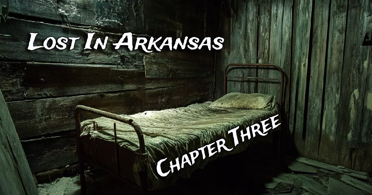 Lost In Arkansas - Chapter Three