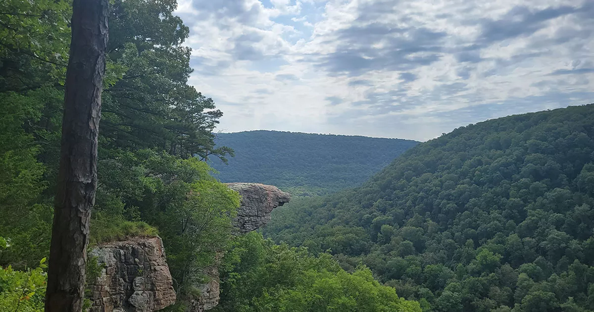 We Took A Little Trip To Whitaker Point