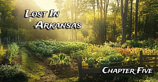 Lost In Arkansas - Chapter Five