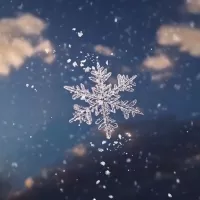 A Single Snowflake