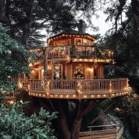 Download, Vote, or share: A Home In The Trees